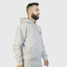 Load image into Gallery viewer, PetrosyanMania Gray Suit