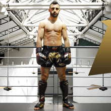 Load image into Gallery viewer, Petrosyan 2.0 Shin Guards - Black / Gold