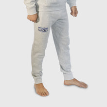 Load image into Gallery viewer, PetrosyanMania Gray Suit